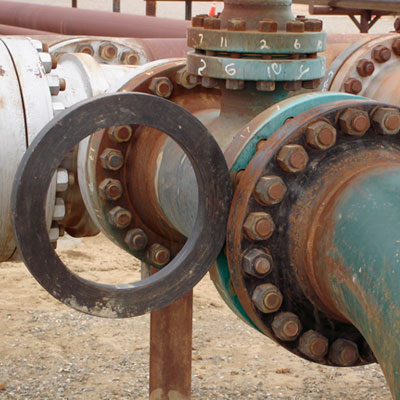 spectacle-blind-aplicacion